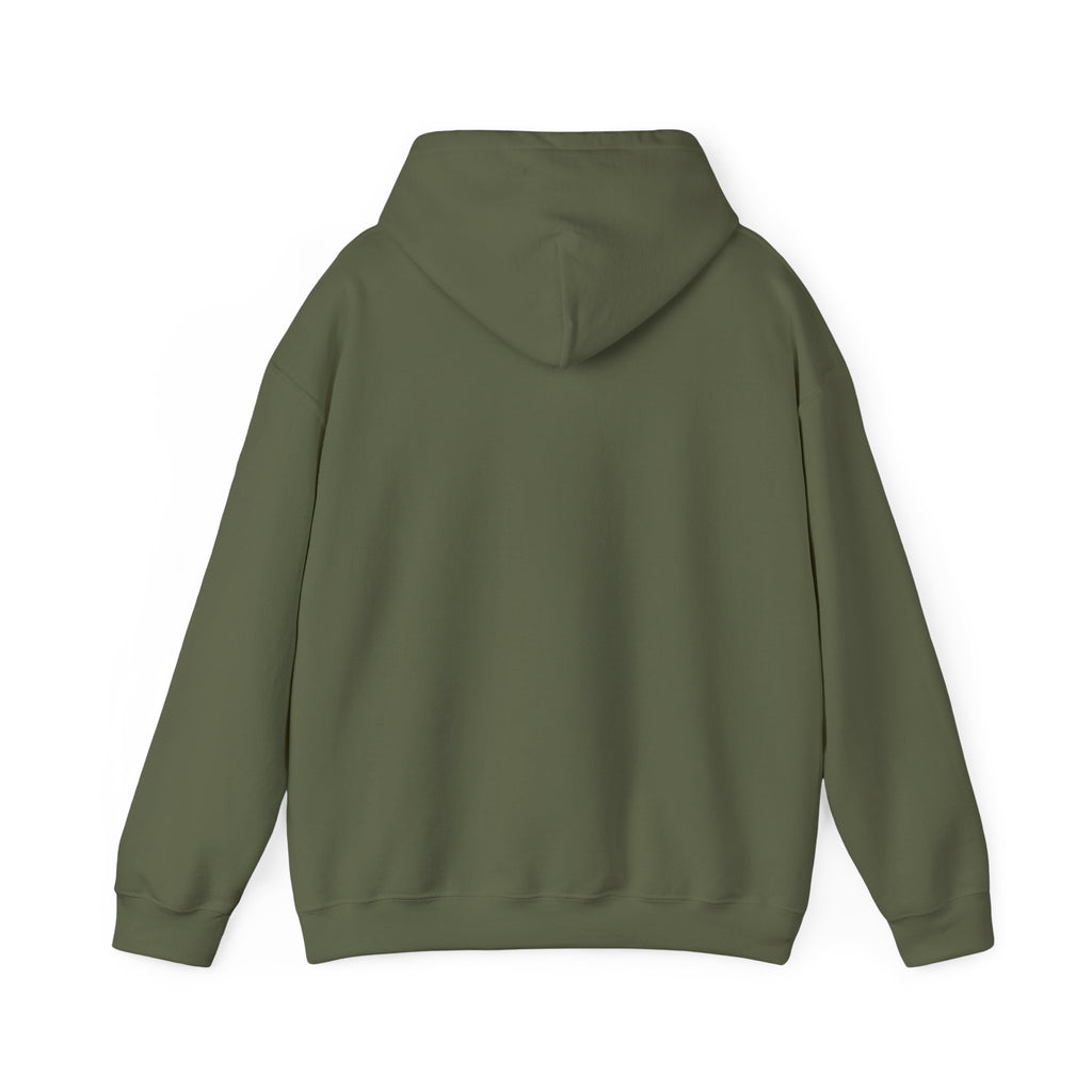 St. Patrick's Day Irish Slainte Unisex Hoodie - Green Shamrock Sweatshirt | Celtic Shenanigans Hoodie - Gaelic Cheers | St Patricks Day