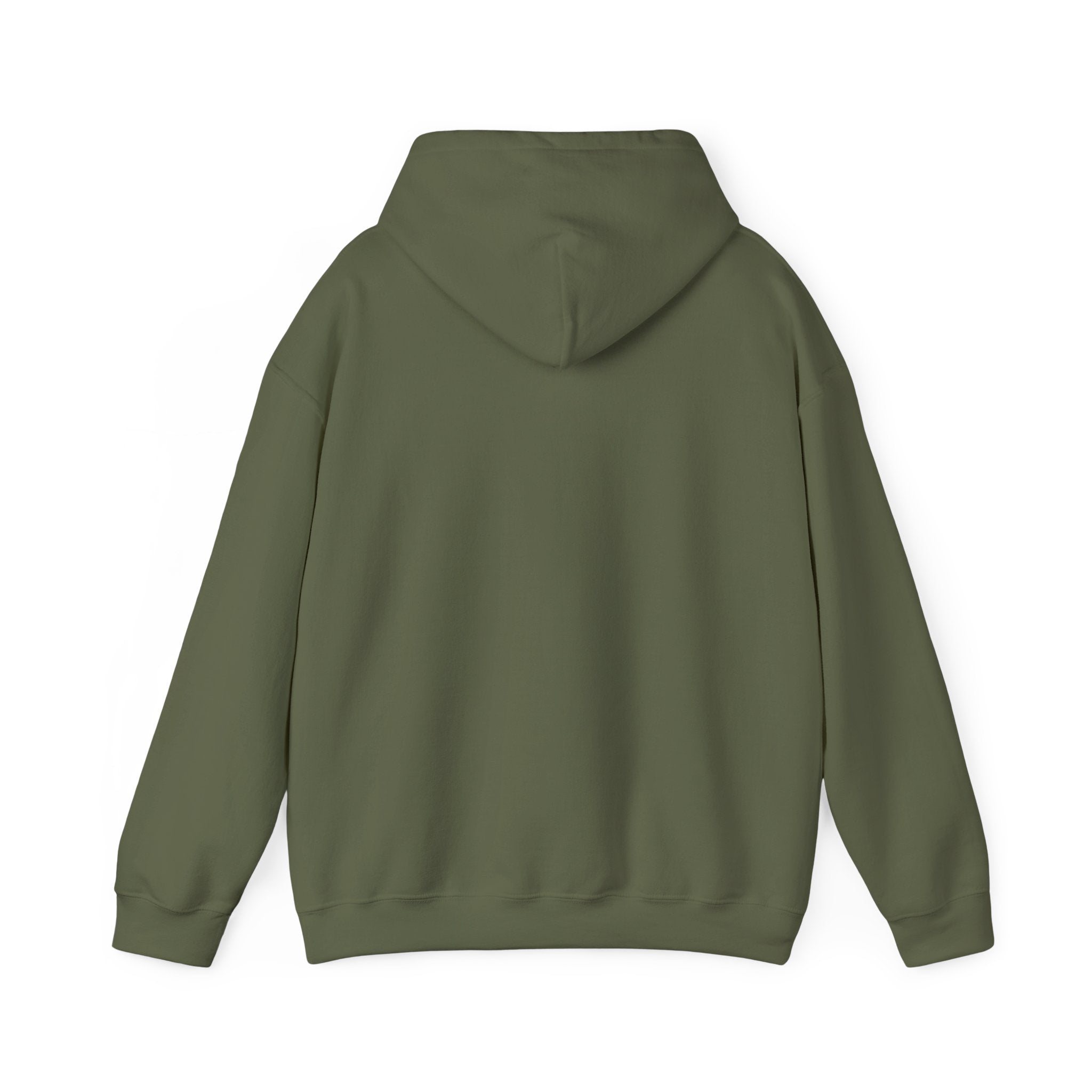 St. Patrick's Day Irish Slainte Unisex Hoodie - Green Shamrock Sweatshirt | Celtic Shenanigans Hoodie - Gaelic Cheers | St Patricks Day