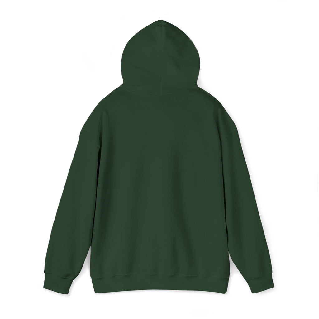 St. Patrick's Day Irish Slainte Unisex Hoodie - Green Shamrock Sweatshirt | Celtic Shenanigans Hoodie - Gaelic Cheers | St Patricks Day