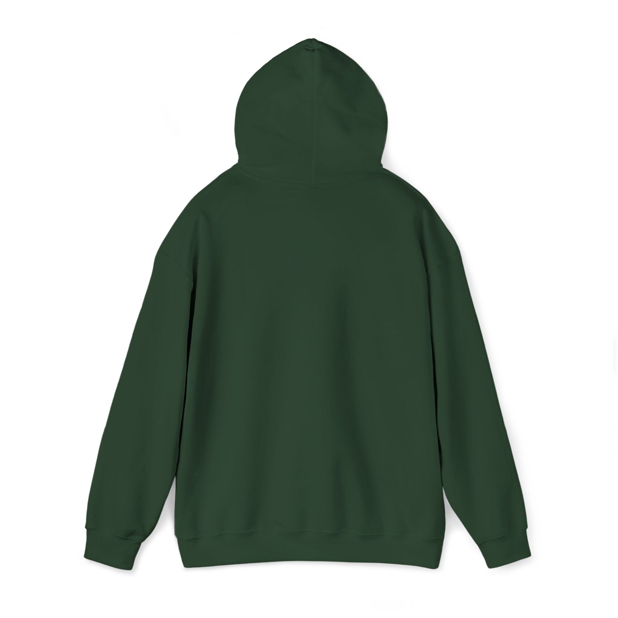 St. Patrick's Day Irish Slainte Unisex Hoodie - Green Shamrock Sweatshirt | Celtic Shenanigans Hoodie - Gaelic Cheers | St Patricks Day