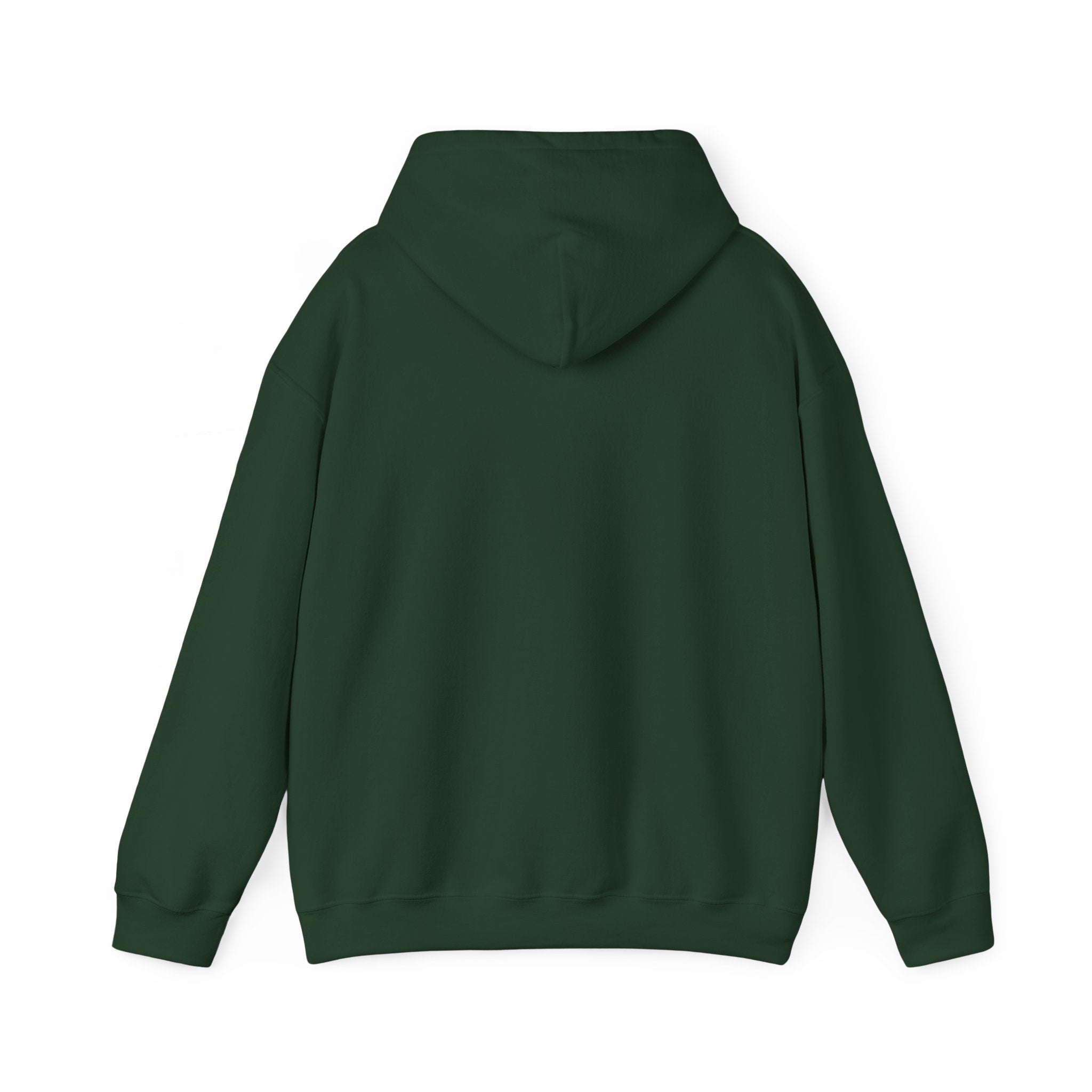 St. Patrick's Day Irish Slainte Unisex Hoodie - Green Shamrock Sweatshirt | Celtic Shenanigans Hoodie - Gaelic Cheers | St Patricks Day
