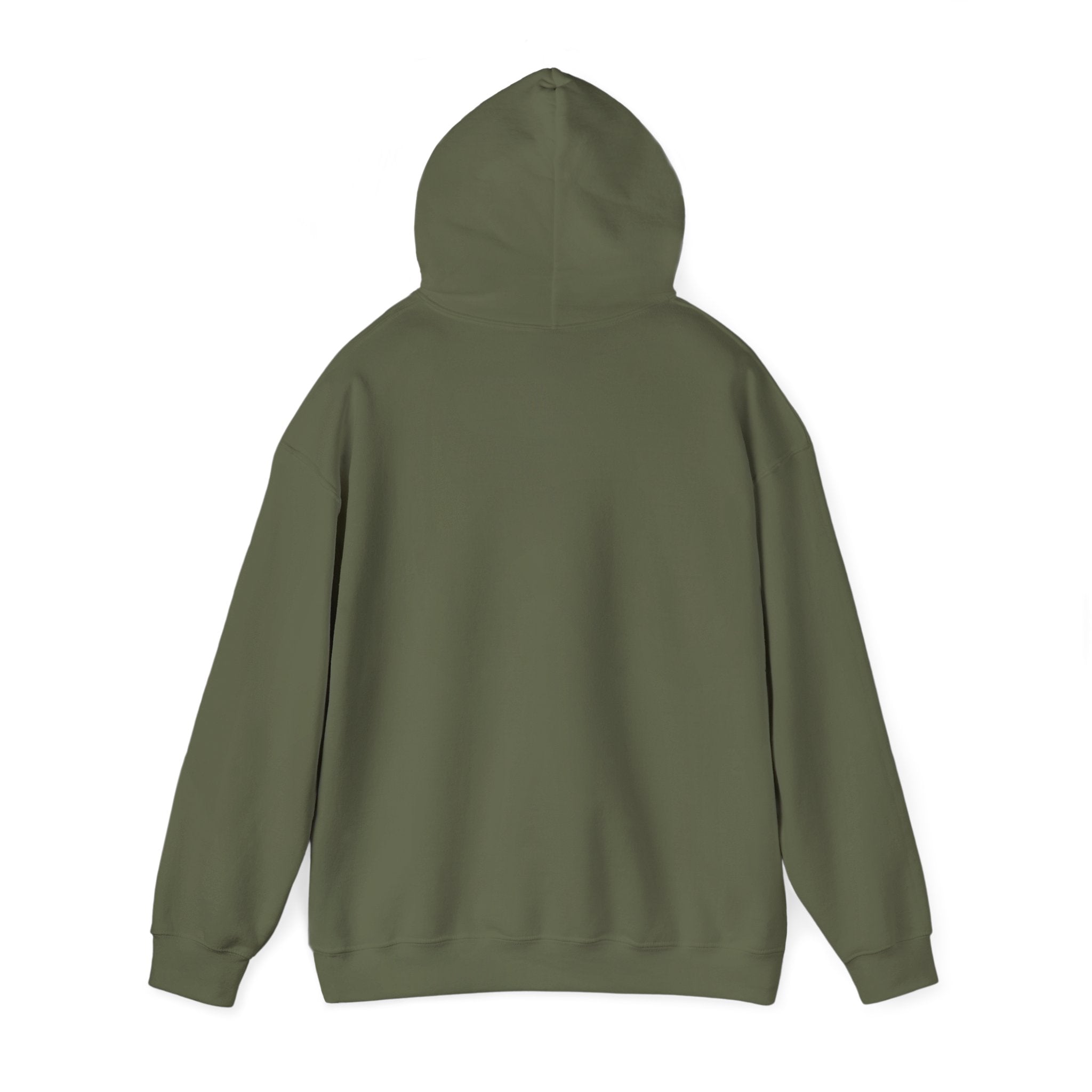 St. Patrick's Day Irish Slainte Unisex Hoodie - Green Shamrock Sweatshirt | Celtic Shenanigans Hoodie - Gaelic Cheers | St Patricks Day